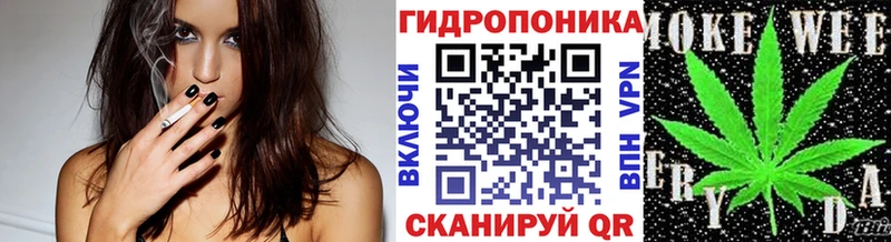 Бошки марихуана тримм  Купить закладки  Волоколамск 